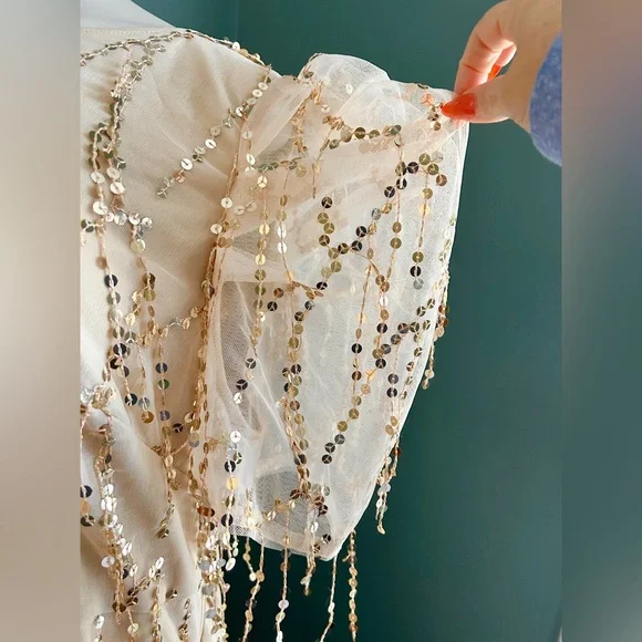 Elegant Beige Gold Tassel Sequin Short Sleeve Dress Plus Size 18 3X - Picture 4 of 9